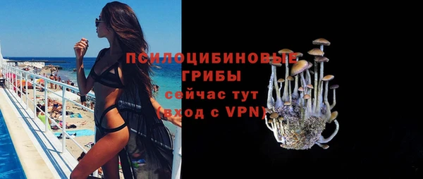 apvp Абинск