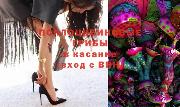spice Абаза